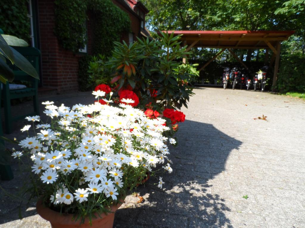 Haus Am Deich Apartment Utersum Bagian luar foto